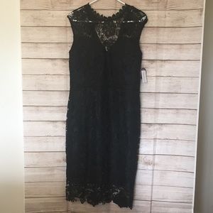 Little Black Lace Dress | Windsor 1X NWT